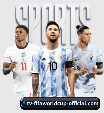 开云体育 APP - Kysports