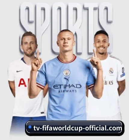 开云体育的方向 | Kysports