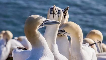 【夜读】放飞了，内马尔邀500人开派对