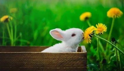 【夜读】放飞了，内马尔邀500人开派对